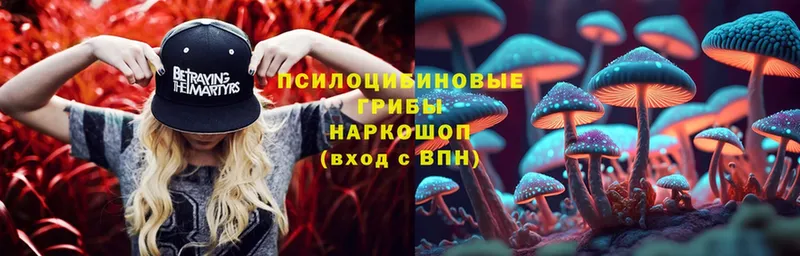 хочу   Норильск  Псилоцибиновые грибы мицелий 